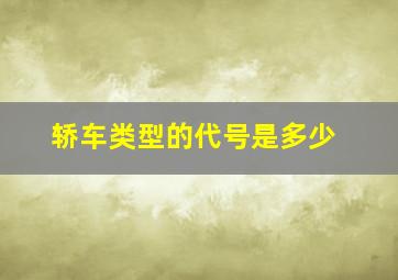 轿车类型的代号是多少