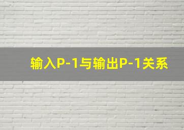 输入P-1与输出P-1关系