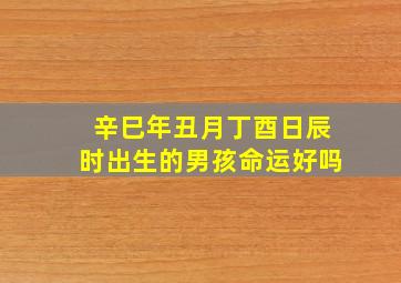 辛巳年丑月丁酉日辰时出生的男孩命运好吗