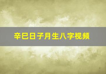 辛巳日子月生八字视频