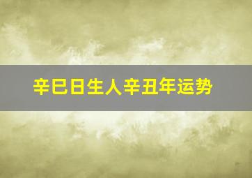 辛巳日生人辛丑年运势