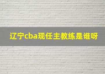 辽宁cba现任主教练是谁呀