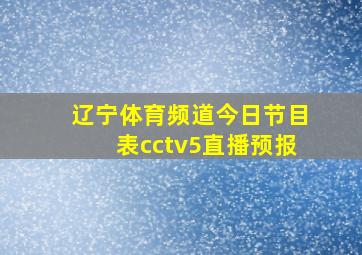 辽宁体育频道今日节目表cctv5直播预报