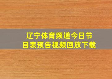 辽宁体育频道今日节目表预告视频回放下载