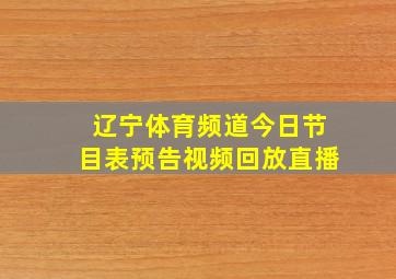 辽宁体育频道今日节目表预告视频回放直播