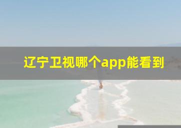 辽宁卫视哪个app能看到