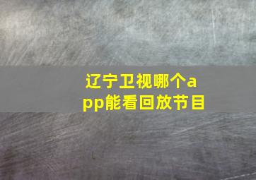 辽宁卫视哪个app能看回放节目