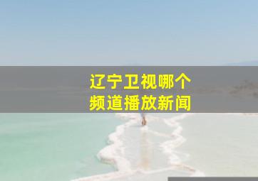 辽宁卫视哪个频道播放新闻