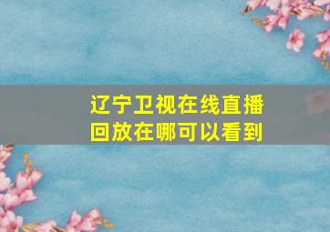 辽宁卫视在线直播回放在哪可以看到