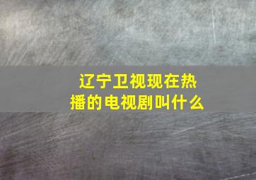 辽宁卫视现在热播的电视剧叫什么