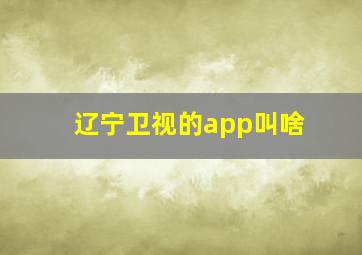 辽宁卫视的app叫啥