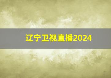 辽宁卫视直播2024