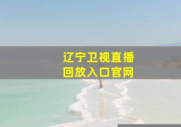 辽宁卫视直播回放入口官网