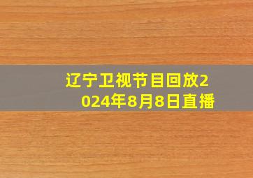 辽宁卫视节目回放2024年8月8日直播