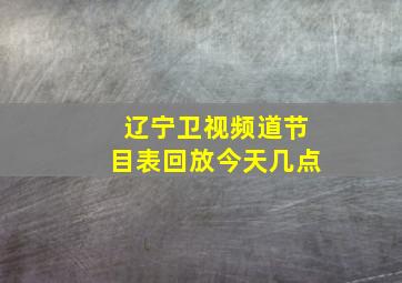 辽宁卫视频道节目表回放今天几点