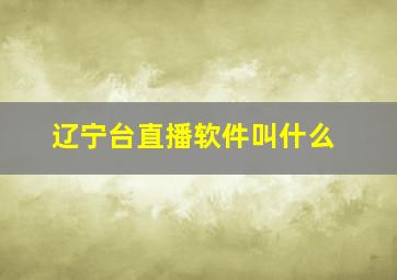 辽宁台直播软件叫什么