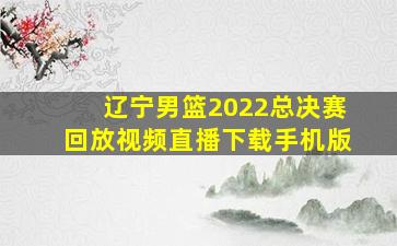 辽宁男篮2022总决赛回放视频直播下载手机版