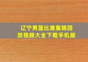 辽宁男篮比赛集锦回放视频大全下载手机版