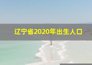 辽宁省2020年出生人口