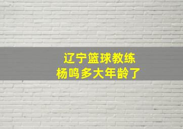 辽宁篮球教练杨鸣多大年龄了