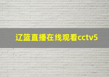 辽篮直播在线观看cctv5