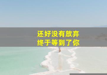 还好没有放弃终于等到了你