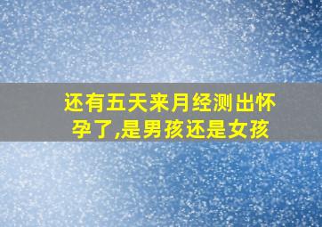 还有五天来月经测出怀孕了,是男孩还是女孩