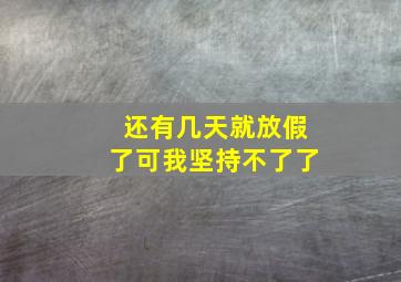 还有几天就放假了可我坚持不了了