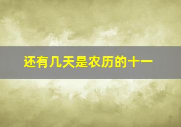 还有几天是农历的十一