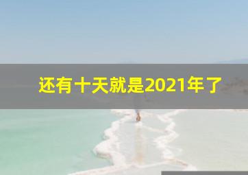 还有十天就是2021年了