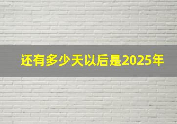 还有多少天以后是2025年