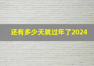 还有多少天就过年了2024