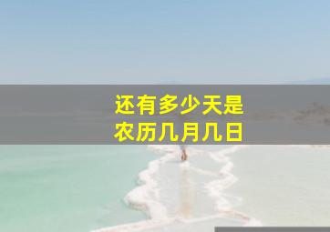 还有多少天是农历几月几日