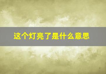 这个灯亮了是什么意思