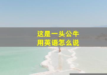 这是一头公牛用英语怎么说