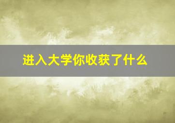 进入大学你收获了什么