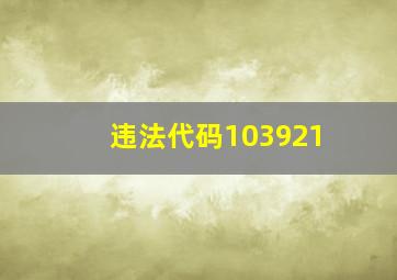 违法代码103921