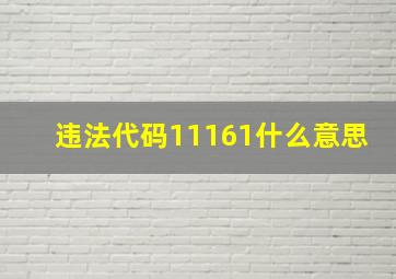 违法代码11161什么意思