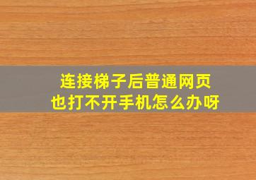 连接梯子后普通网页也打不开手机怎么办呀