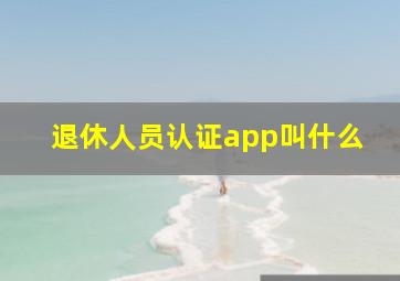 退休人员认证app叫什么