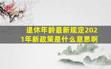 退休年龄最新规定2021年新政策是什么意思啊