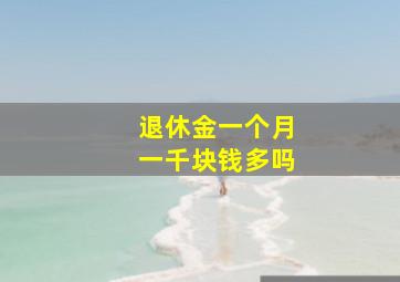 退休金一个月一千块钱多吗