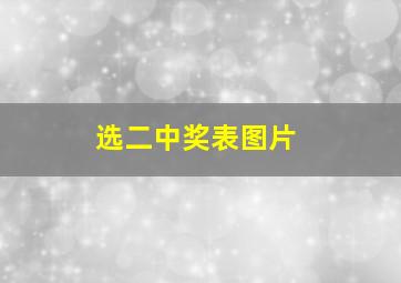 选二中奖表图片