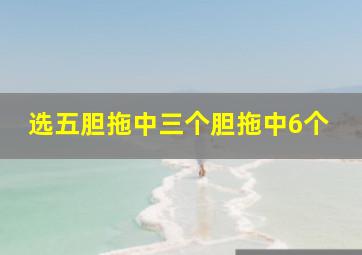 选五胆拖中三个胆拖中6个