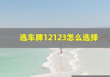 选车牌12123怎么选择