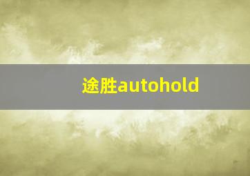 途胜autohold