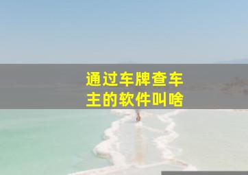 通过车牌查车主的软件叫啥