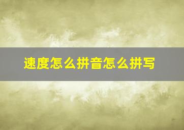 速度怎么拼音怎么拼写