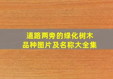 道路两旁的绿化树木品种图片及名称大全集