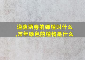 道路两旁的绿植叫什么,常年绿色的植物是什么